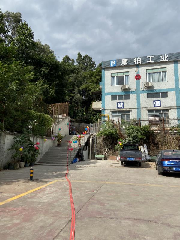 熱烈慶?？蛋毓I(yè)再入伙大型現(xiàn)代化天然氣窯爐兩臺(tái)并點(diǎn)火成功!